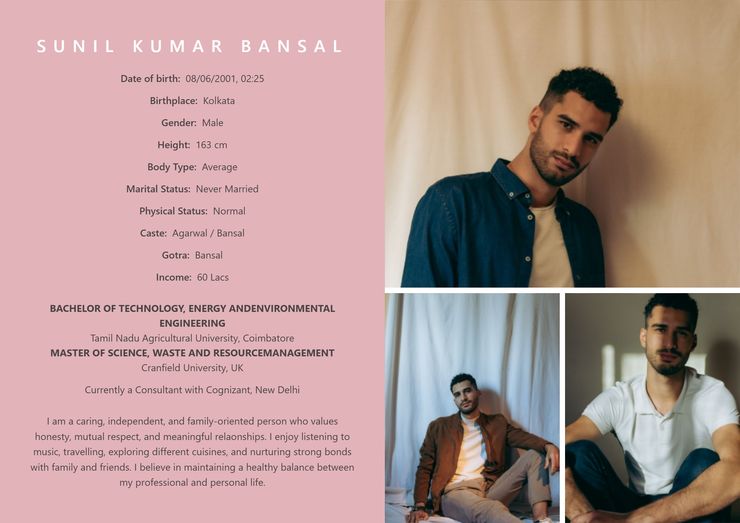 Blush Collage marriage biodata template — view free sample PDF