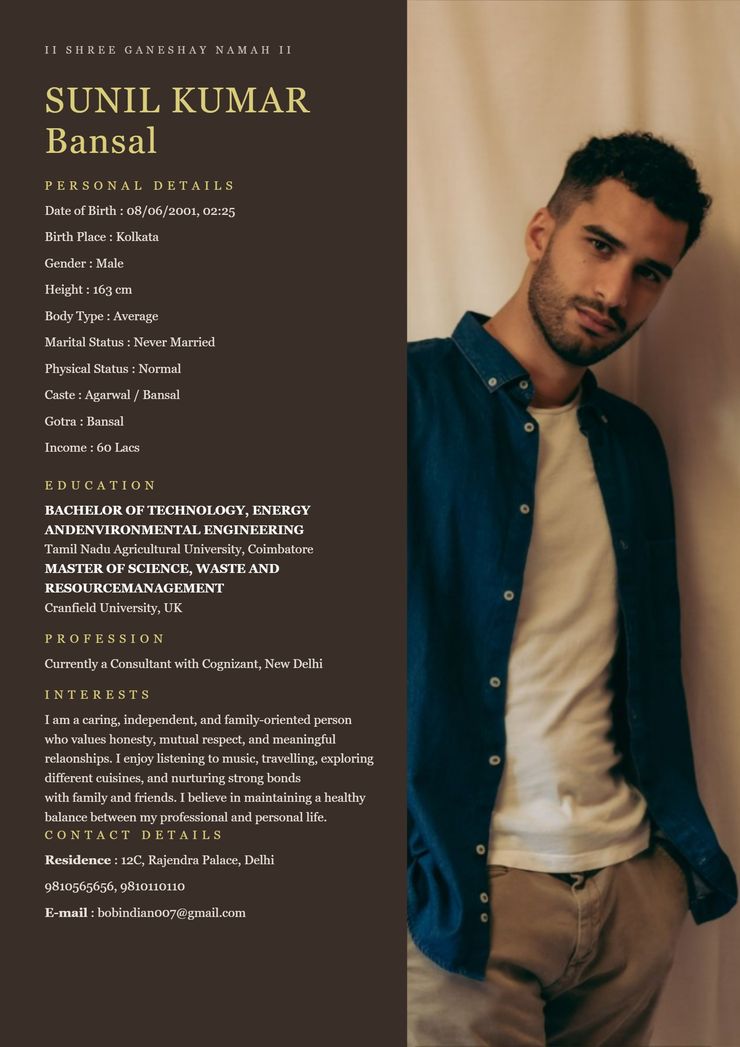 Cocoa Silk marriage biodata template — view free sample PDF