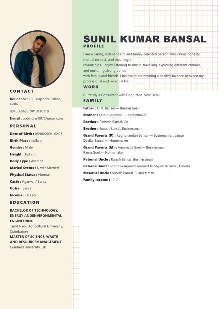 Mint Grid marriage biodata template — view free sample PDF