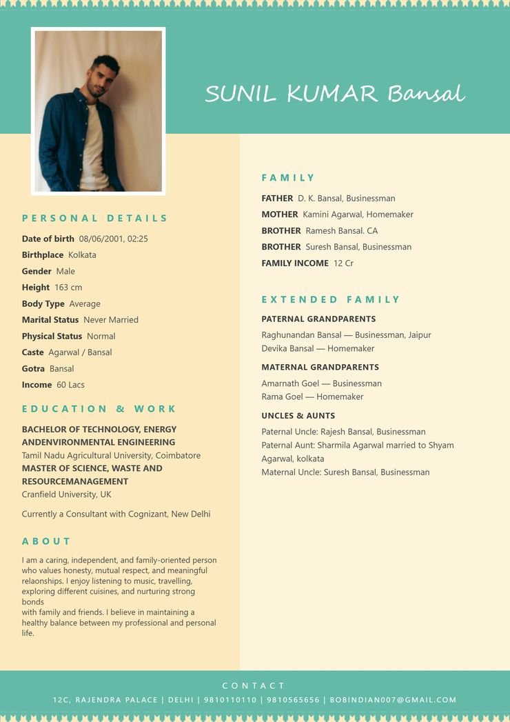 Teal Cream marriage biodata template — view free sample PDF